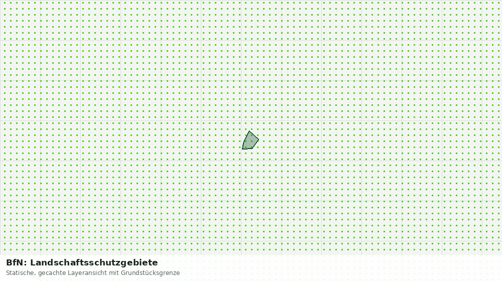 Statische Kartenansicht: BfN: Landschaftsschutzgebiete