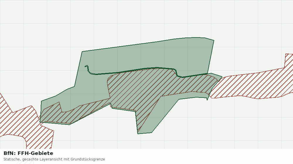 Statische Kartenansicht: BfN: FFH-Gebiete