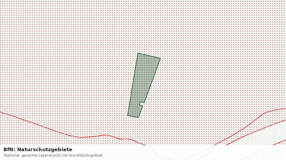 Statische Kartenansicht: BfN: Naturschutzgebiete
